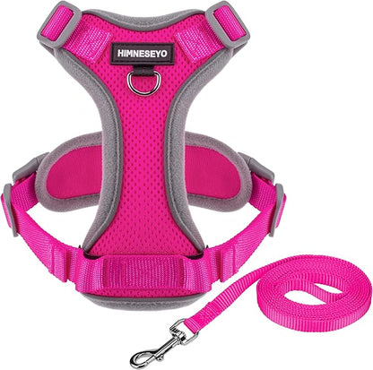 Small Dog Harness and Leash Set, No Pull Adjustable Pet Harness for Small Dogs, Breathable Mesh Rflective Dog Vest Harness (Rose Red, XXS)