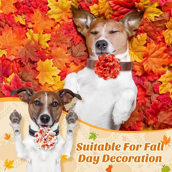 50 Pieces Fall Thanksgiving Dog Collar Flowers Bulk Maple Leaves Dog Charms Grooming Accessories Bow Tie Flower for Pets Cat Collar Attachment Embellishment Autumn Party Costume Photo Props