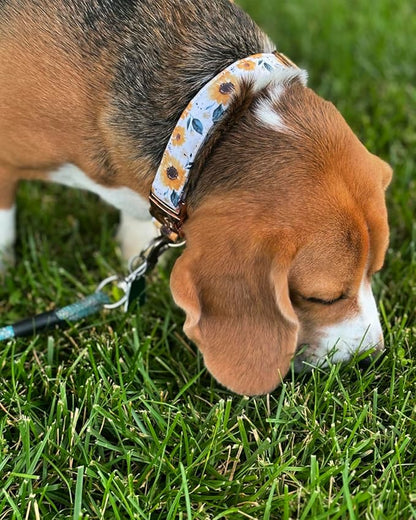 Elegant little tail Dog Collar, Sunflower Pattern Pet Collar Durable Cute Dog Collars Summer Fall Female Pet Gift Adjustable Dog Collar for Large Dogs