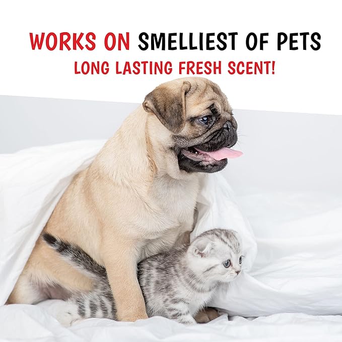 Warren London Wet Kiss Dog Cologne Spray – Milk & Honey | Pocket-Size 2 oz Odor Eliminator & Coat Freshener for Dogs & Cats