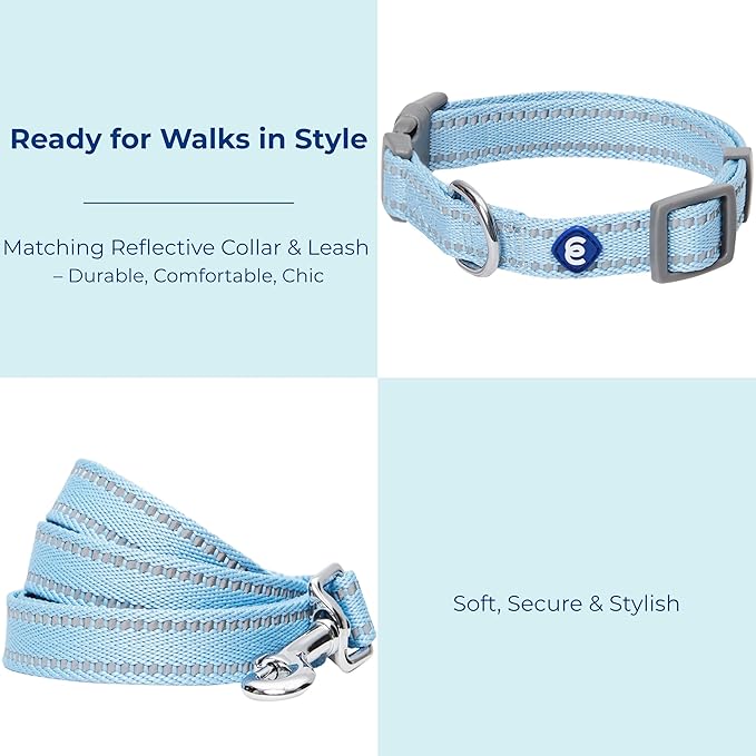Blueberry Pet Essentials Reflective Dog Collar & Leash Set, Adjustable for Medium Dogs | Safe Walking Gear for Pet Parents, Puppy Training & Daily Use MediumDogs, Baby Blue