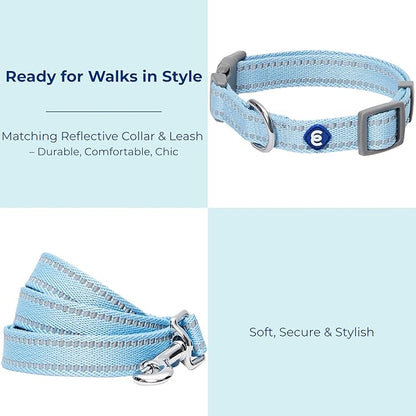 Blueberry Pet Essentials Reflective Dog Collar & Leash Set, Adjustable for Medium Dogs | Safe Walking Gear for Pet Parents, Puppy Training & Daily Use MediumDogs, Baby Blue