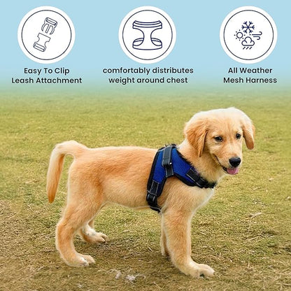No Pull Reflective Adjustable Dog Harness With Handle- Comfortable Soft All Weather Mesh, Easy On Puppy Harness For Small Medium and Large Dogs (Blue) Medium