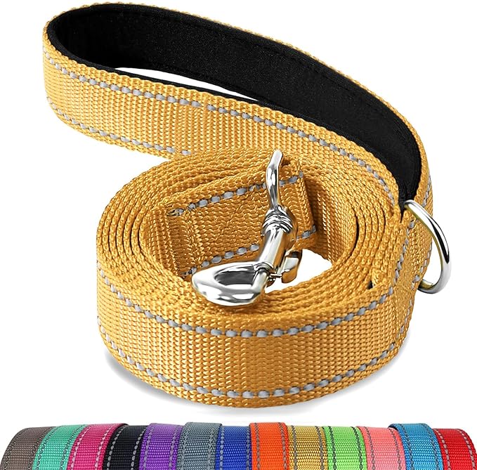 Joytale Double-Sided Reflective Dog Leash, 4 FT, Padded Handle Nylon Heavy Duty Leashes for Medium & Large Dogs Walking, Khaki