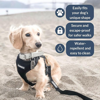 DJANGO Adventure Dog Harness - Stylish and Comfortable Small Dog Harness for Outdoor Adventures and Everyday Wear - Black Neoprene Adjustable Harness for Dogs with Reflective Piping and Brass D-Ring