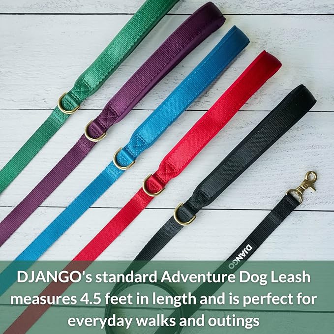 DJANGO Adventure Dog Leash – Strong, Comfortable, and Stylish Dog Leash with Solid Brass Hardware and Padded Handle - Designed for Outdoor Adventures and Everyday Use (Forest Green)