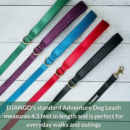 DJANGO Adventure Dog Leash – Strong, Comfortable, and Stylish Dog Leash with Solid Brass Hardware and Padded Handle - Designed for Outdoor Adventures and Everyday Use (Forest Green)