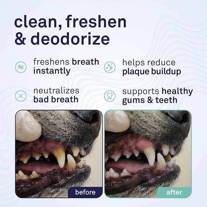 Petpost | Fresh Breath Foam for Dogs - Mint & Apple Flavored Dental Solution That Eliminates Bad Breath - Natural Tooth Cleaning Treatment 5 oz.