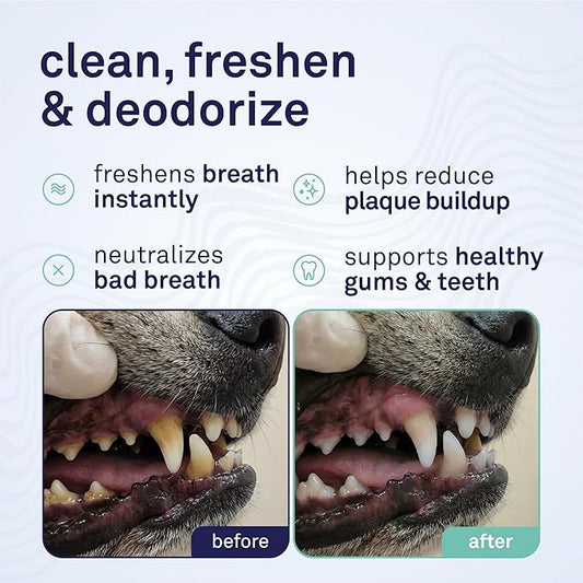 Petpost | Fresh Breath Foam for Dogs - Mint & Apple Flavored Dental Solution That Eliminates Bad Breath - Natural Tooth Cleaning Treatment 5 oz.