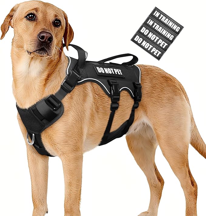 WINSEE Escape Proof Dog Harness, Service Working Molle Harness with Double Handle, Tactical Pet Vest with 4 Patches for Small Medium Large Dogs Walking Hiking Hunting