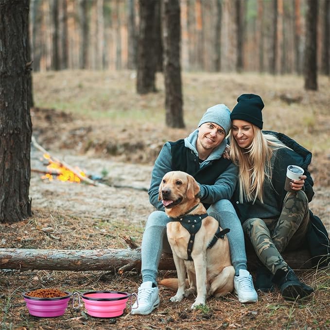 Dog Bowl Large Pet Collapsible Bowls, 2 Pack Collapsible Dog Water Bowls for Cats Dogs, Portable Pet Feeding Watering Dish for Walking Parking Traveling with 2 Carabiners (Large, Pink+Purple)