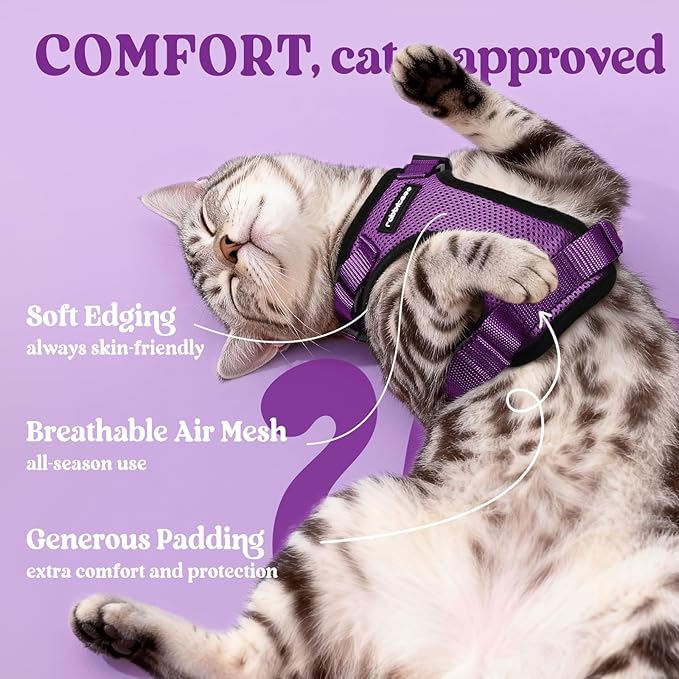rabbitgoo Cat Harness and Leash for Walking, Escape Proof Soft Adjustable Vest Harnesses for Cats, Easy Control Breathable Reflective Strips Jacket, Purple, S