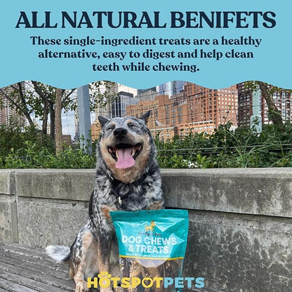 hotspot pets Premium Split Elk Antlers for Dogs - 7+ Inch Large Dog Antler Chews (4 Pack) Made in USA, Naturally Shed Antler Bone for Large Breed Aggressive Chewers - Promotes Dental Hygiene