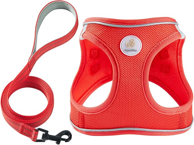 Hipubby Dog Harness and Leash Set, No Pull Soft Mesh Puppy Harness for Small Medium Dogs, Cats - Step in Reflective Breathable Lightweight Vest Harness for Walking, Training - Red, XXS