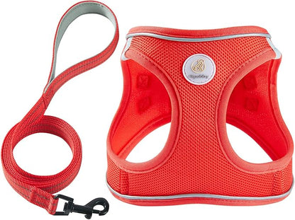 Hipubby Dog Harness and Leash Set, No Pull Soft Mesh Puppy Harness for Small Medium Dogs, Cats - Step in Reflective Breathable Lightweight Vest Harness for Walking, Training - Red, XXS