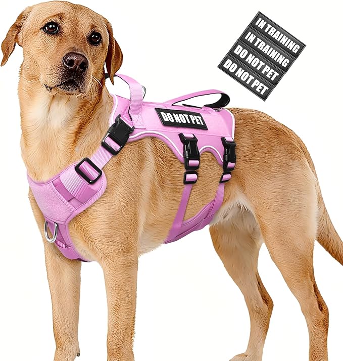 WINSEE Escape Proof Dog Harness, Service Working Molle Harness with Double Handle, Tactical Pet Vest with 4 Patches for Small Medium Large Dogs Walking Hiking Hunting