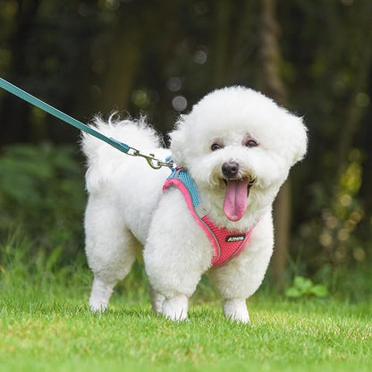 AIITLE Small Harness for Puppy with A Leash - Dog Vest Harness with Super Breathable Mesh, Reflective No-Pull Pet Harness for Outdoor Walking, Running for Small Dogs, Cats Hot Pink XXS