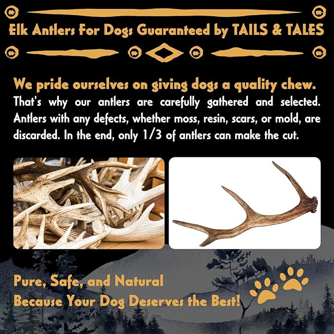 Tails & Tales Whole Elk Antler for Dogs Medium 5-7" Long-Lasting & Durable Dog Bones for Aggressive Chewers or Teething Puppies No Additives, Premium Grade A, Naturally Shed in USA