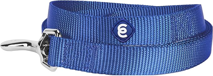 Blueberry Pet Essentials Marina Blue Dog Leash for X-Small -5' * 3/8" Dogs | Heavy Duty Nylon Lead | Lightweight Puppy & Cat Leash for Walking & Training