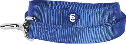 Blueberry Pet Essentials Marina Blue Dog Leash for Large - 4' * 1" Dogs | Heavy Duty Nylon Lead | Lightweight Puppy & Cat Leash for Walking & Training