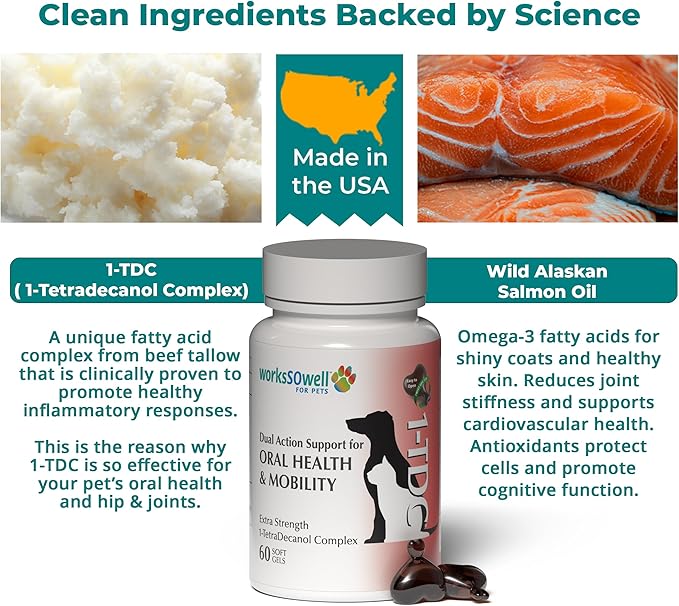 1TDC WorksSoWell Dual Action Hip and Joint Supplement for Dogs & Cats - for Large & Small Breed - Great for Oral Health, Stamina Recovery & Arthritis Pain Relief -60 ct