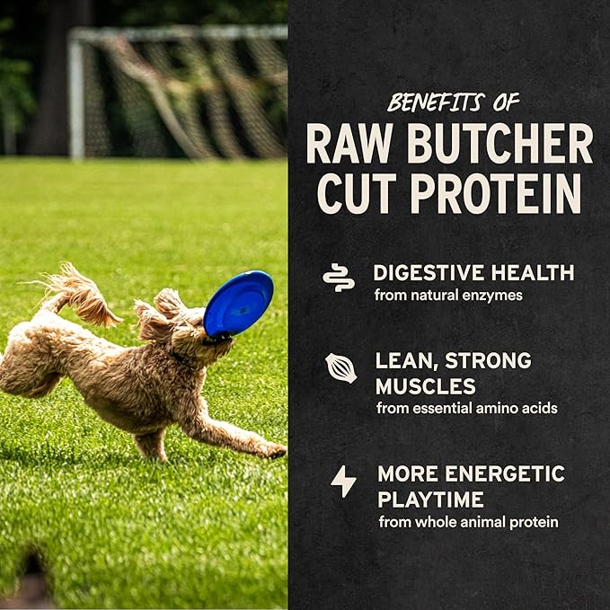 Vital Essentials Beef Tripe Bites Dog Treats, 2.3 oz | Freeze-Dried Raw | Single Protein | Premium Quality High Protein Training Treats | Grain Free, Gluten Free, Filler Free