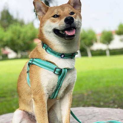 Blueberry Pet Essentials Matching Small Dog Collar | Adjustable Classic Solid Color Nylon Dog Collars for Small Dogs | Reflective Sky Blue Dog Collar for Small Dogs