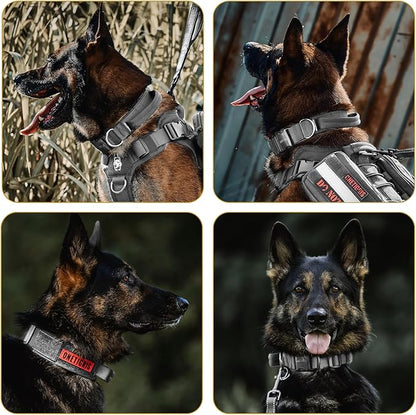 OneTigris Tough Dog Collars, Tactical Dog Collar with Handle, Milltary Adjustable Dog Collar with Heavy Duty Metal Buckle for Training (Gray, S)