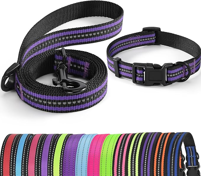 Mile High Life Reflective Dog Collar & Leash Set - Adjustable, Medium (Purple, Pack of 2)
