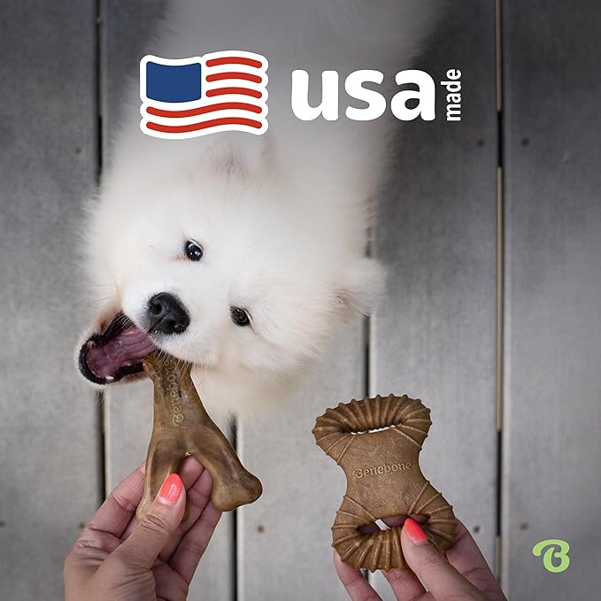 Benebone 2-Pack Wishbone/Dental Durable Dog Chew Toys, Real Bacon, Made in USA, Large