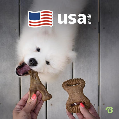 Benebone 2-Pack Wishbone/Dental Durable Dog Chew Toys, Real Bacon, Made in USA, Large