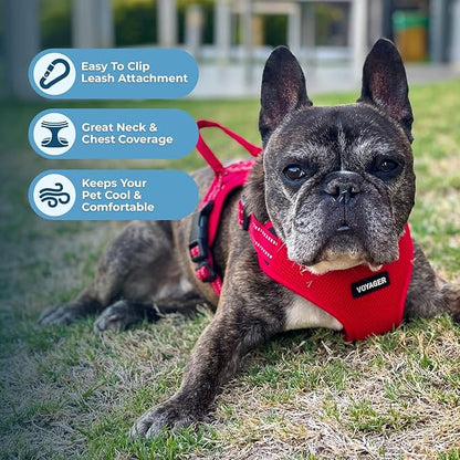 Best Pet Supplies Voyager Adjustable Step-in Flex Breathable Mesh Dog Harness for Small Medium Large Dogs (Red), M