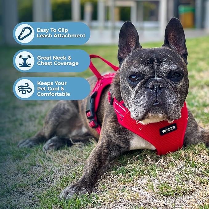 Best Pet Supplies Voyager Adjustable Step-in Flex Breathable Mesh Dog Harness for Small Medium Large Dogs (Red), XL
