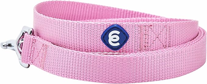 Blueberry Pet Essentials Fuchsia Pink Dog Leash for Large - 4' * 1" Dogs | Heavy Duty Nylon Lead | Lightweight Puppy & Cat Leash for Walking & Training