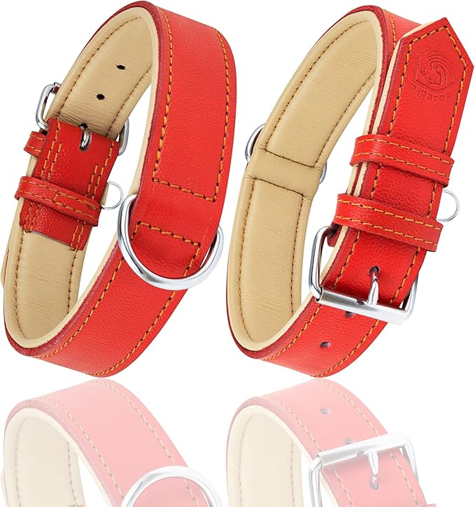 Riparo Red Leather Dog Collar - Heavy Duty Wide Dog Collar for Small, Medium, Large and Extra Large Dogs with Dog Tag Holder (XL: 1.75" Wide for 21”-25” Neck, Red)