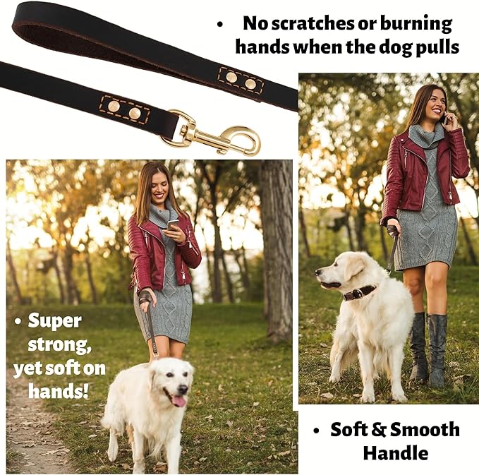 Leather Dog Leash 6 ft x 3/4 inch - Soft, Strong, Heavy Duty for Large & Medium Breeds - Dog Lead for Walking (Brown - Gold Colored Clasp, L - 6 ft x 3/4 inch)