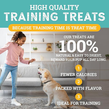 etta says! Training Treats - All Natural Peanut Butter Soft Treats for Dogs - Made in The USA (16 Oz Pack of 1)