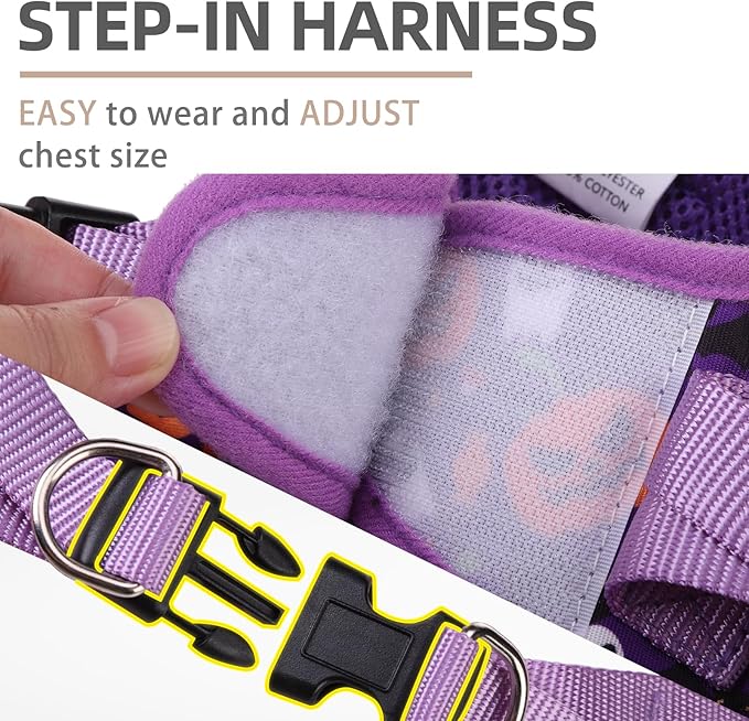 PUPTECK Dog Harness and Leash Set for Small Medium Dogs No Pull Step-in Soft Mesh Puppy Cat Vest Harnesses Reflective at Night, Halloween Purple, M