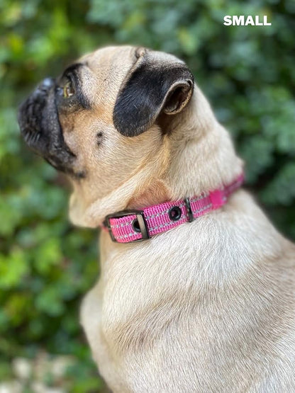 Tuff Pupper Heavy Duty Dog Collar with Handle | Ballistic Nylon Heavy Duty Collar | Padded Reflective Dog Collar with Adjustable Stainless Steel Hardware | Convenient Sizing for All Breeds