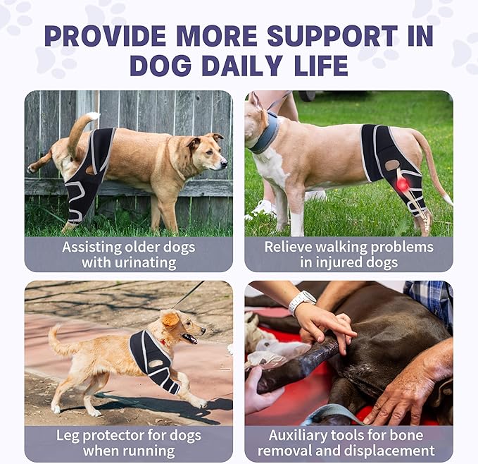 Dog Knee Brace for Torn Acl Hind Leg,Adjustable Four-Legged Universal Dog Knee Brace with Metal Support Strip,Keeps Joints Stable&Relieve Joint Pain and Ligament Damage,Size L.
