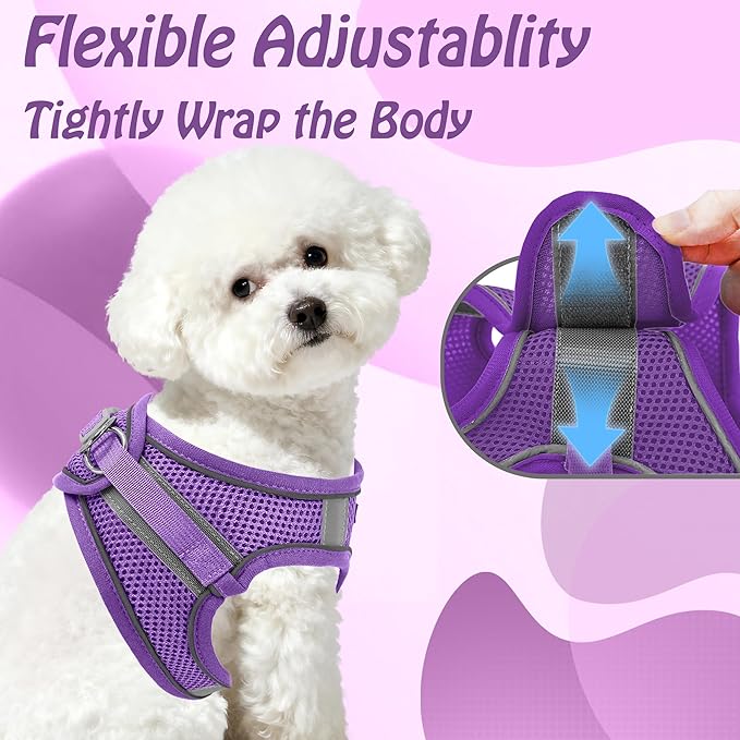 AIITLE Dog Harness, No-Pull Cat Harness with a Leash, Adjustable Reflective Dog Vest, Cat Harness Escape Proof, Outdoor Walking, Running,Training for Extra Small Dogs and House Cats Pure Purple XXXS