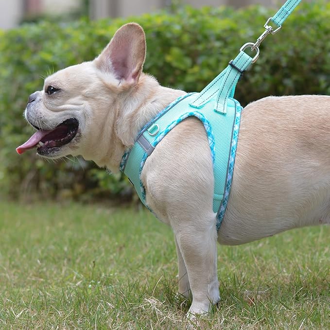 Mercano Soft Mesh Dog Harness and Leash Set, No-Chock Step-in Reflective Breathable Lightweight Easy Walk Vest Harnesses with Safety Buckle for Small Dogs, Cats (Light Green, XL)