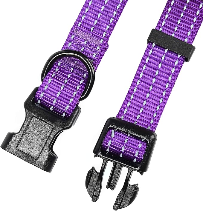 Mile High Life Dog Collar | Nylon Reflective Dog Collars | Light Weight Puppy Collars | Purple Dog Collars for Large Dogs (Solid Purple, Large)