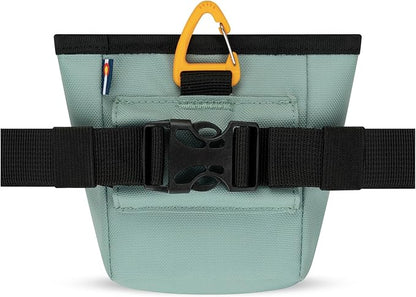 OllyDog Goodie Treat Bag, Dog Treat Pouch, Waist Belt Clip for Hands-Free Training, Magnetic Closure, Dog Training and Behavior Aids, Three Ways to Wear (Surf)
