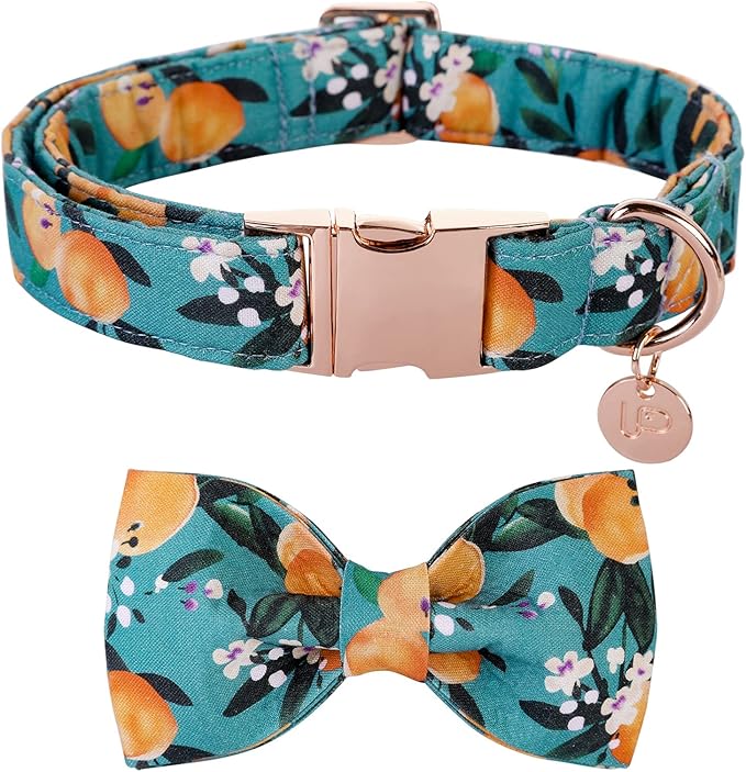Dog Collar with Bow Tie, Durable Comfortable Cotton Dog Bowtie Collar with Metal Buckle for Medium Dog Girl Boy, Summer Cute Dog Collar, M