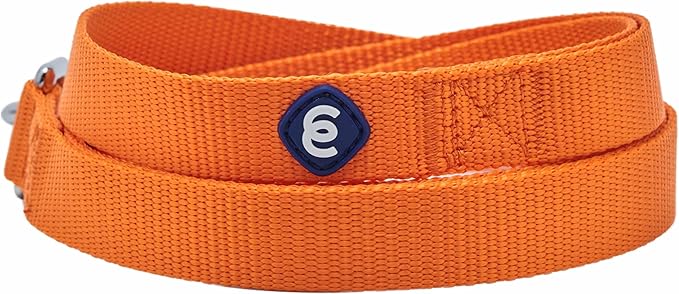 Blueberry Pet Essentials Orange Vermilion Dog Leash for Medium - 5' * 3/4" Dogs | Heavy Duty Nylon Lead | Lightweight Puppy & Cat Leash for Walking & Training
