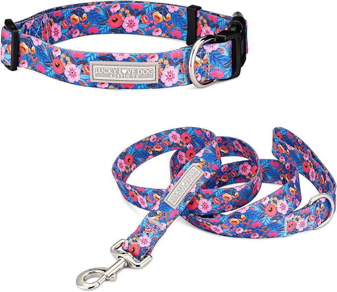Lucky Love Dog - Easy Click Buckle Dog Collar with Leash Set Combo, Durable & Comfortable for Male & Female Dogs, Pet Collar for Large Dogs, Secure Fit - Zuzu Combo, XL