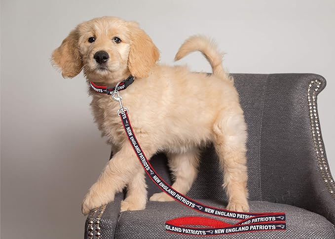 Pets First NFL Pets NFL