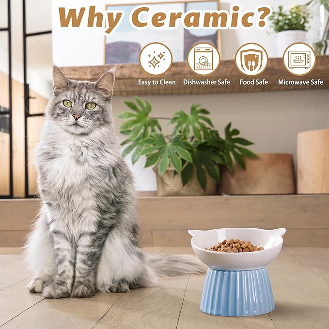Wellbro Ceramic Raised Cat Bowl，Tilted Raised Bowl Anti Vomit for Indoor Cats Whisker Friendly Pet Feeder for Cats Puppies, Microwave and Dishwasher Safe (Pink)