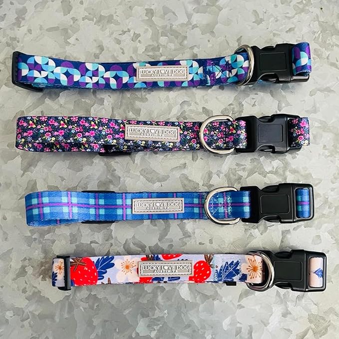 Lucky Love Dog - Adjustable Dog Collar and Leash Set with Easy Click Buckle for Large Dogs, Durable, & Comfortable Collar for Male & Female Dogs, Puppies & Adult Ones - Jasper Combo, Large